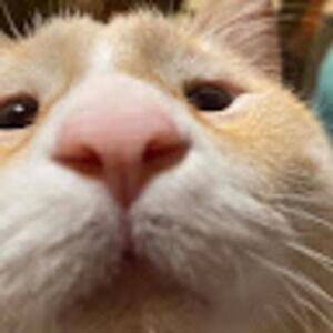 Meet your Posher, An